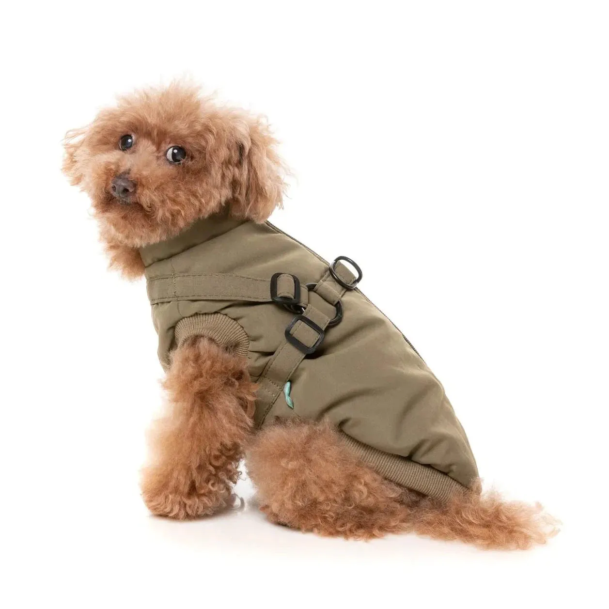 FuzzYard | Flash Harness Jacket - Khaki